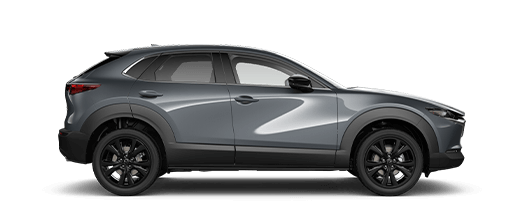 Polymetal Grey CX-30 right profile 