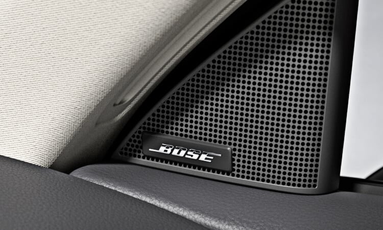 Close up of Bose logo badge on door trim speaker. 