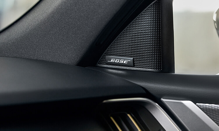 Bose logo badge on speaker located on the door.