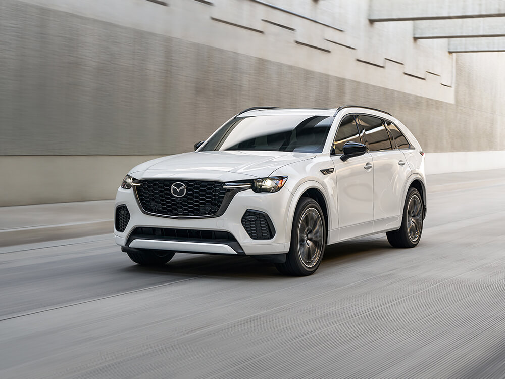 Shot of a Rhodium White Metallic CX-70 entering a tunnel.