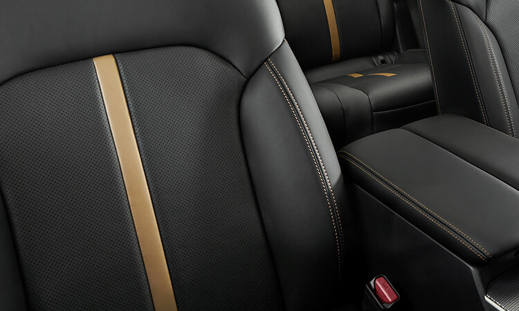 Glamour shot of Black Leatherette passenger’s seat in daylight.